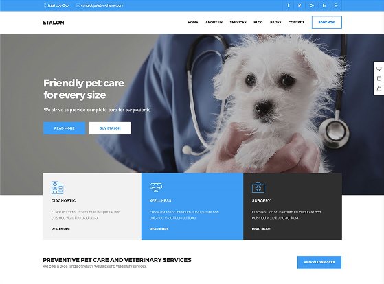 Website Hewan etalon veterinary service