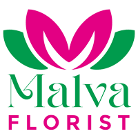 Malva Florist Malva Florist